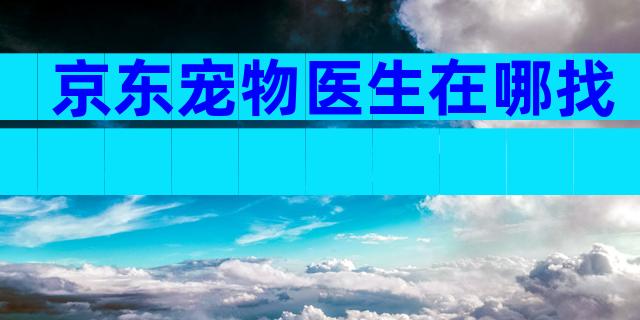 京东宠物医生在哪找