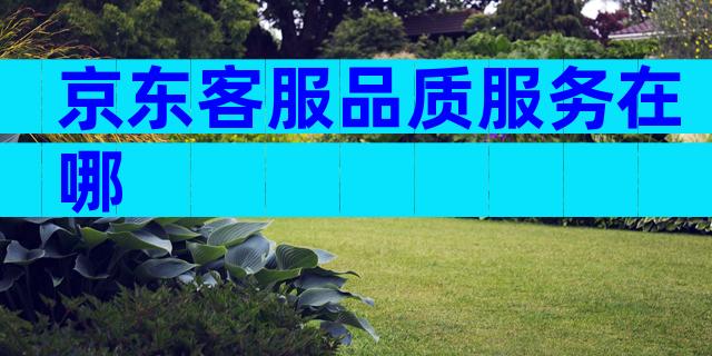 京东客服品质服务在哪