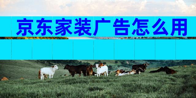 京东家装广告怎么用