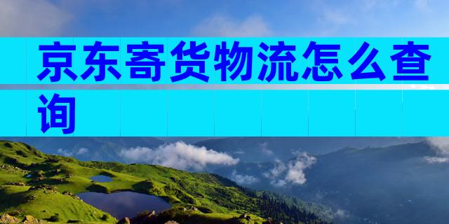 京东寄货物流怎么查询