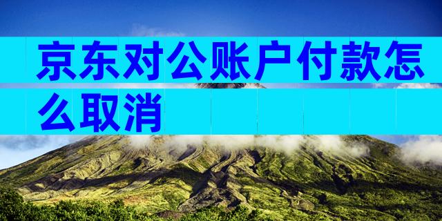 京东对公账户付款怎么取消