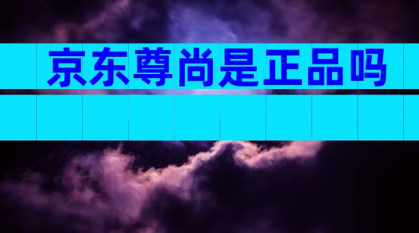 京东尊尚是正品吗