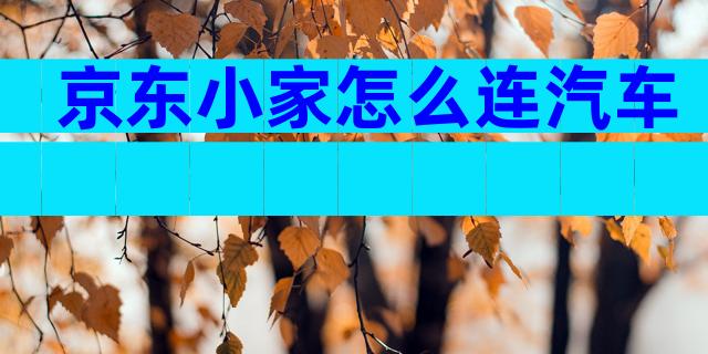 京东小家怎么连汽车