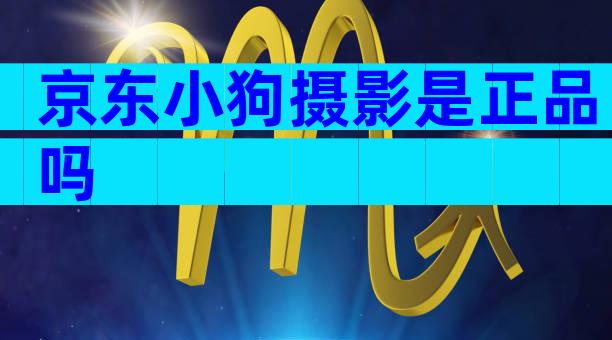 京东小狗摄影是正品吗