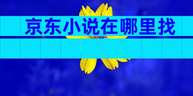京东小说在哪里找