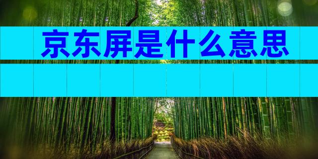 京东屏是什么意思