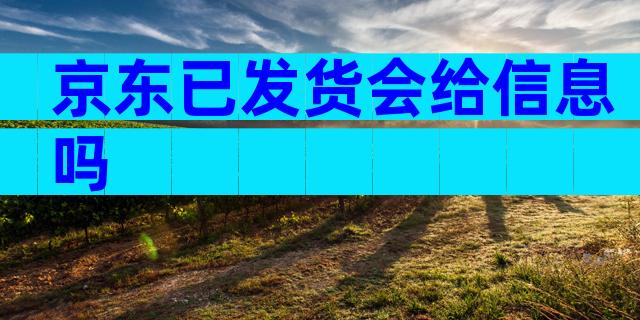 京东已发货会给信息吗