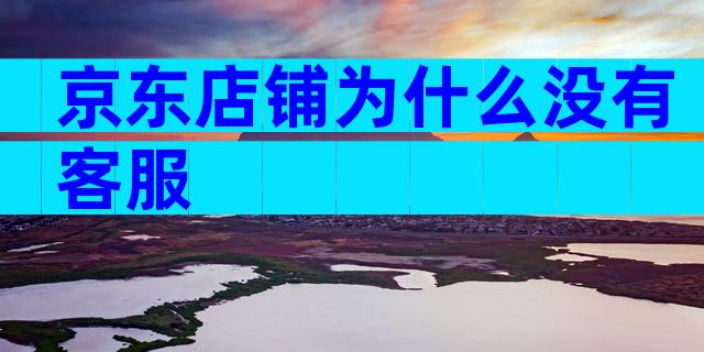 京东店铺为什么没有客服