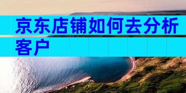 京东店铺如何去分析客户
