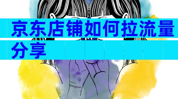 京东店铺如何拉流量分享