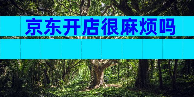 京东开店很麻烦吗