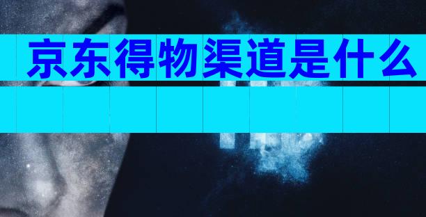 京东得物渠道是什么