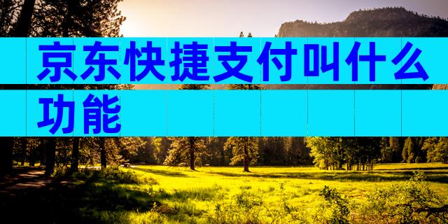 京东快捷支付叫什么功能