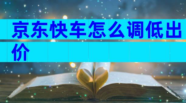 京东快车怎么调低出价