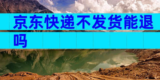 京东快递不发货能退吗