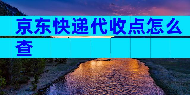 京东快递代收点怎么查