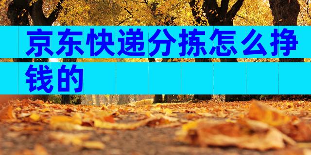 京东快递分拣怎么挣钱的