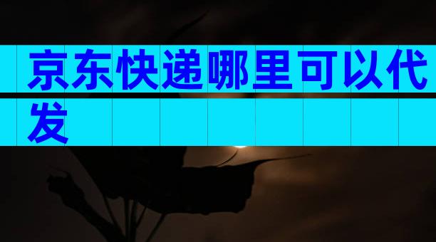 京东快递哪里可以代发