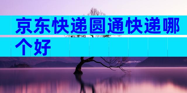 京东快递圆通快递哪个好