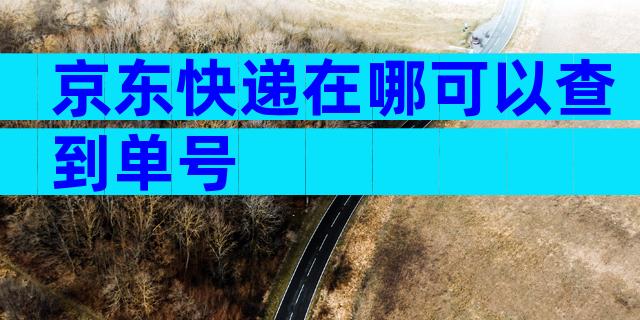 京东快递在哪可以查到单号