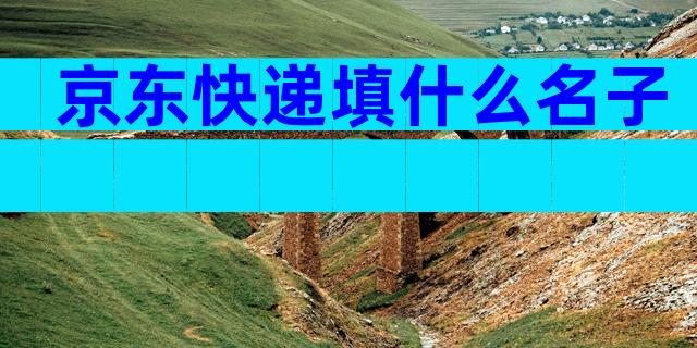 京东快递填什么名子
