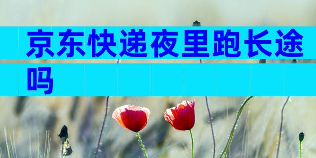 京东快递夜里跑长途吗