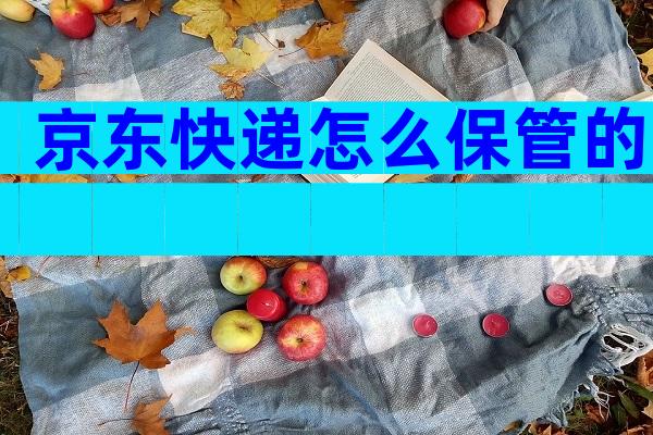 京东快递怎么保管的