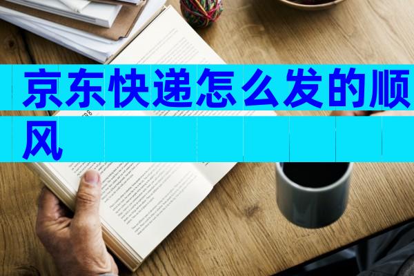 京东快递怎么发的顺风