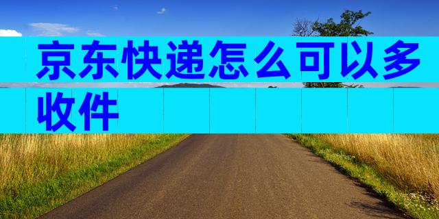京东快递怎么可以多收件