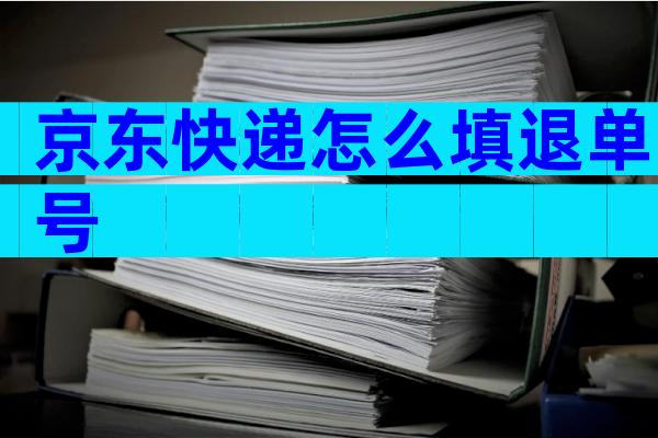 京东快递怎么填退单号