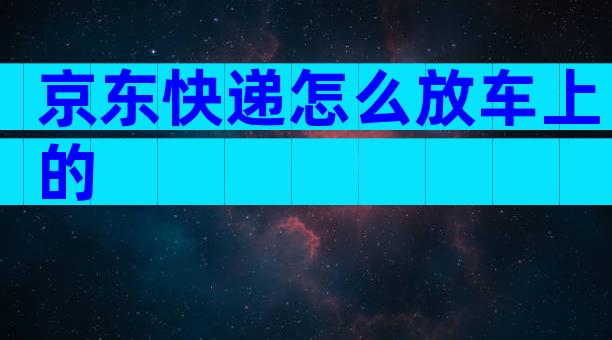 京东快递怎么放车上的