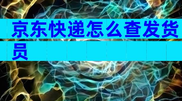 京东快递怎么查发货员