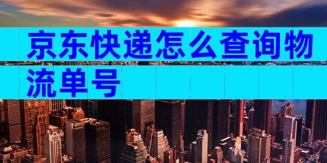 京东快递怎么查询物流单号