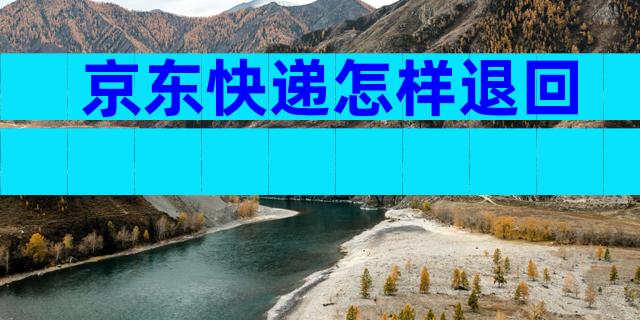 京东快递怎样退回