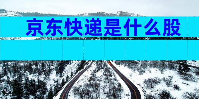 京东快递是什么股