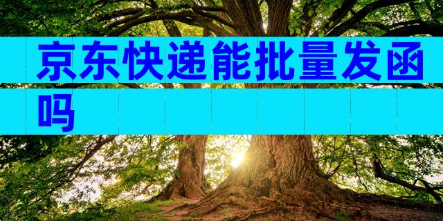 京东快递能批量发函吗