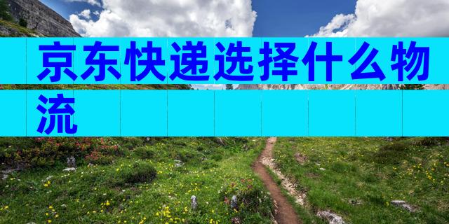 京东快递选择什么物流