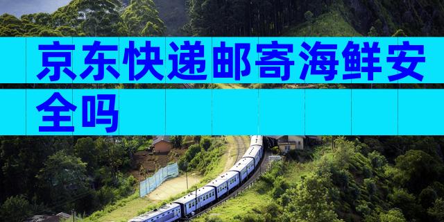 京东快递邮寄海鲜安全吗