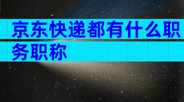 京东快递都有什么职务职称