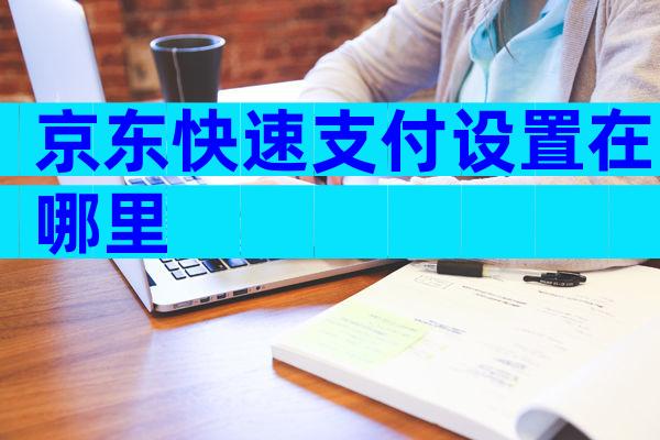 京东快速支付设置在哪里