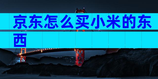 京东怎么买小米的东西