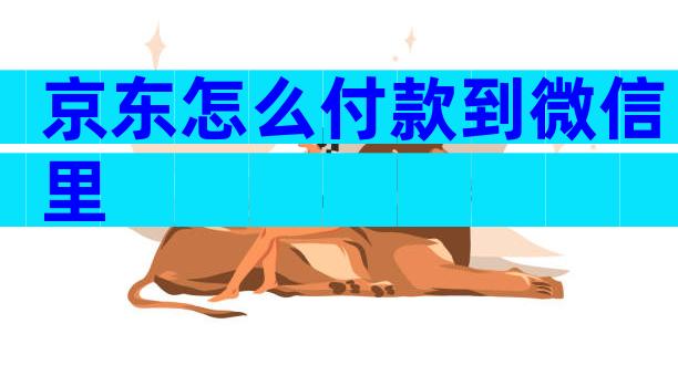 京东怎么付款到微信里