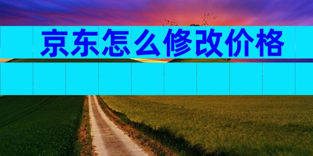 京东怎么修改价格