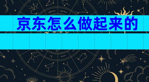 京东怎么做起来的