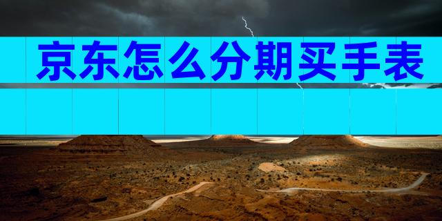 京东怎么分期买手表