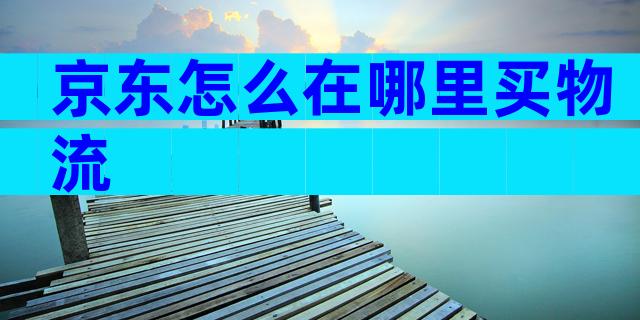 京东怎么在哪里买物流