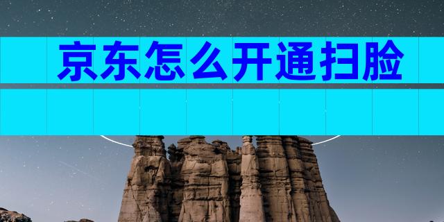 京东怎么开通扫脸