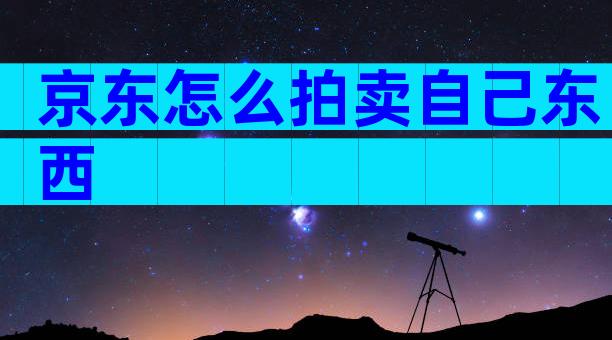 京东怎么拍卖自己东西