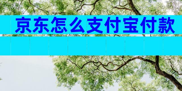 京东怎么支付宝付款