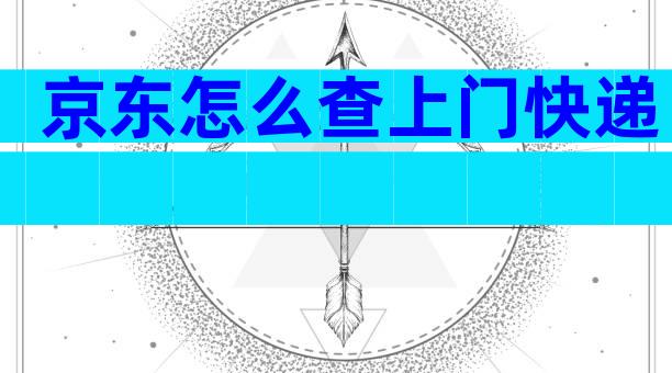 京东怎么查上门快递